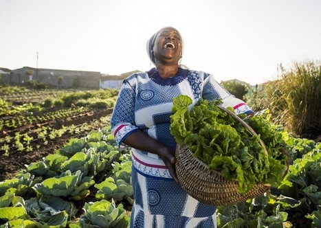 AFRICA : How the cooperative model can ‘empower the people behind our favourite foods’ | MED-Amin network | Scoop.it