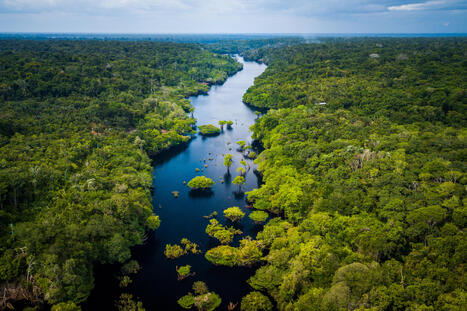 RESOURCES: State of global water resources 2025 | RESSOURCES | Scoop.it