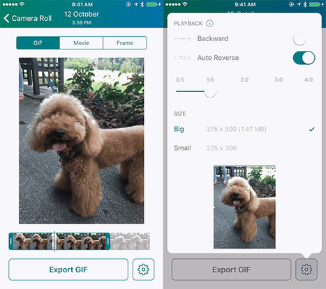 How to Turn iPhone Live Photos Into GIFs in One Easy Step by Nancy Messieh | iGeneration - 21st Century Education (Pedagogy & Digital Innovation) | Scoop.it