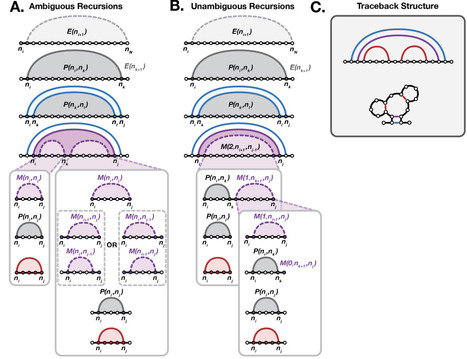 mRNAfold: Co-optimization of Global Stability, Local Structure, and Codon Choice via Suboptimal Folding | brvbi | RMH | Scoop.it