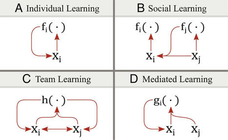 Multidisciplinary learning through collective performance favors decentralization | networks and network weaving | Scoop.it