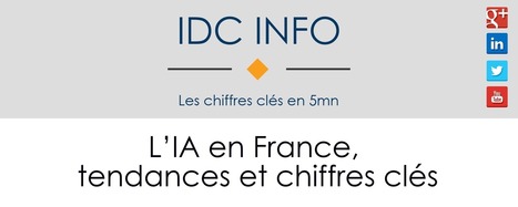 [Infographie] L’IA en France, tendances et chiffres clés | Digital infographics | Scoop.it