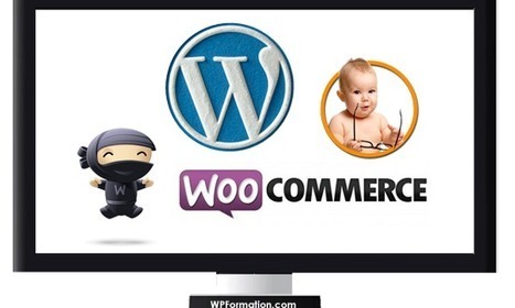 Créer un e-Commerce avec WordPress : Mode d'emploi | WordPress France | Scoop.it