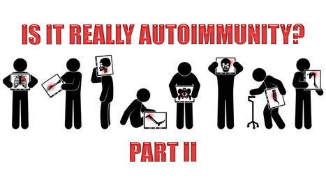 Is It Really Autoimmunity? | El Paso, TX. | Part II | Doctor Of Chiropractic | Functional Medicine "Advancing The Medical Health Model" | Scoop.it