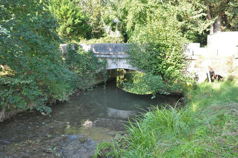 Vaux-sous-Aubigny : un pont en chasse un autre mais… | Regards croisés sur la transition écologique | Scoop.it