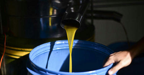 Au PORTUGAL, l’huile d’olive est le nouvel or vert des trafiquants | CIHEAM Press Review | Scoop.it