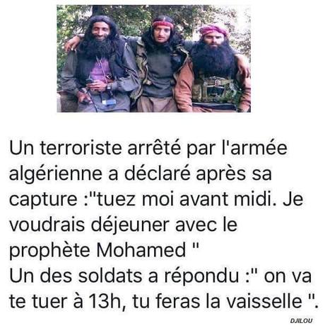 #Algérie: Un terroriste arrêté par l'armée algérienne... | Actualités Afrique | Scoop.it
