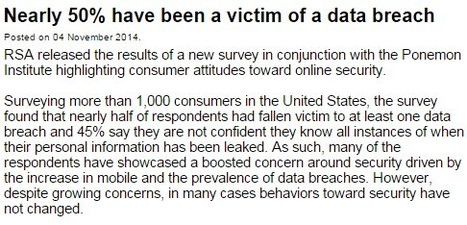 Nearly 50% have been a victim of a data breach | Cyber Security | eSkills | 21st Century Learning and Teaching | Scoop.it