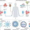 Immunology and Biotherapies