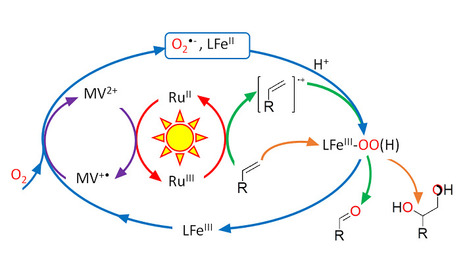 Une photocatalyse propre et efficace pour la production de compos&eacute;s d&rsquo;int&eacute;r&ecirc;t. | Life Sciences Universit&eacute; Paris-Saclay | Scoop.it