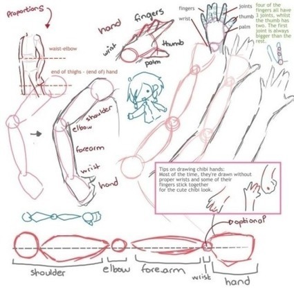 Hands And Fingers Drawing Reference Guide | Drawing References and Resources | Scoop.it