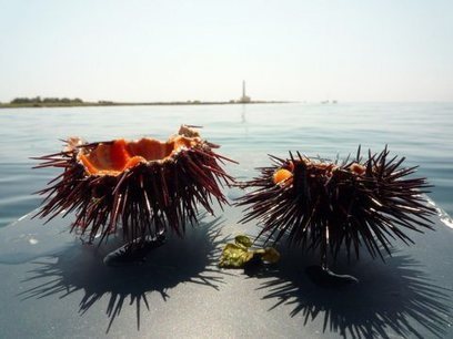 Enjoy 25 Spots In Italy Where You can experience Local Flavor | Good Things From Italy - Le Cose Buone d'Italia | Scoop.it