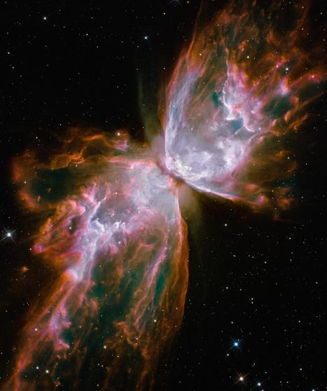 La nebulosa del Bicho* y el anillo no único | Ciencia-Física | Scoop.it