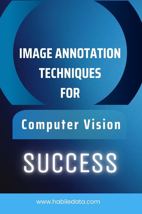 7 Powerful Image Annotation Techniques for Computer Vision Success | Data Management Solutions | Scoop.it