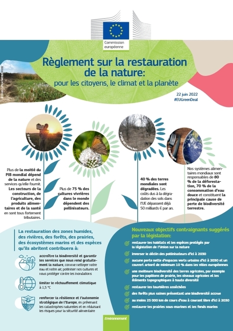 Pacte vert : des propositions in&eacute;dites pour restaurer la nature en Europe d'ici 2050 et r&eacute;duire de moiti&eacute; l'utilisation des pesticides d'ici &agrave; 2030 | EntomoNews | Scoop.it