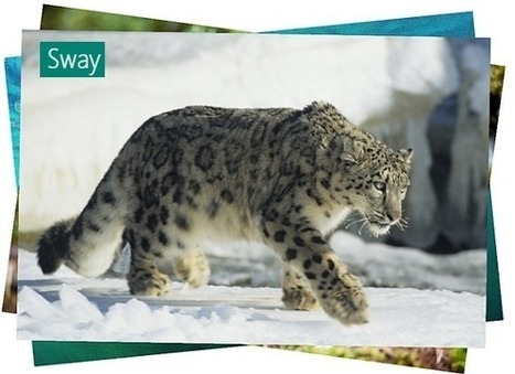 Office Sway: The Web Presentation App By Microsoft | PowerPoint Presentation | Business and Productivity Tools | Scoop.it