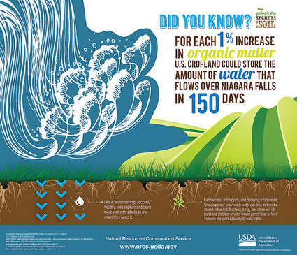 A Hedge against Drought: Why Healthy Soil is ‘Water in the Bank’ | Stage 4 Water in the World | Scoop.it