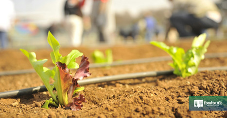 Solutions on Screen: The Power of Documentaries to Spur FOOD SYSTEMS Change | CIHEAM Press Review | Scoop.it