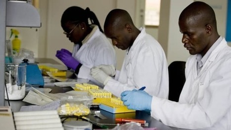 How an Australian mentoring program is improving plant biosecurity in Africa | AFRIQUES | Scoop.it