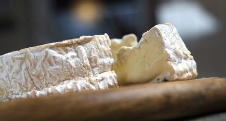 Le fromage, pas forcément l'ennemi du cholestérol | Lait de Normandie... et d'ailleurs | Scoop.it