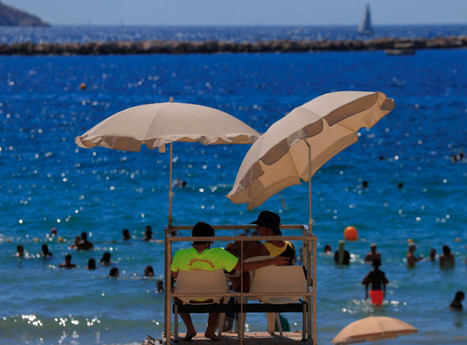 Chikungunya: Mosquito-Borne Virus Plagues Holiday Hotspots in the South of France | Virus World | Scoop.it