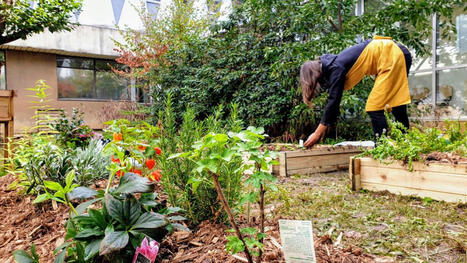 Une serre et des jardins partag&eacute;s vont tracer leur sillon &agrave; Lille Sud | Nature en ville | Scoop.it