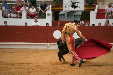 Interdiction de la corrida : les élus du sud serrent les rangs | Veille juridique du CDG13 | Scoop.it