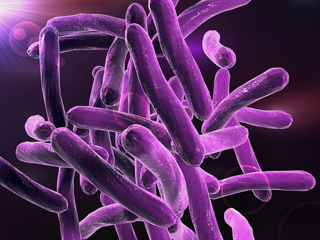 OMS: Insuficientes antibióticos en desarrollo para detener superbacterias | Salud Publica | Scoop.it