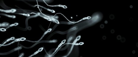 Vasalgel, la contraception masculine qui pourrait arriver en 2017 | Famille et sexualité | Scoop.it