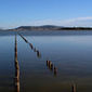 Lido de Thau - Conservatoire du littoral | Biodiversité | Scoop.it