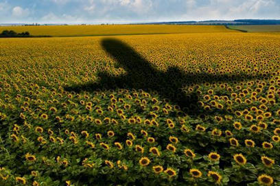Bringing clarity to airline sustainability effort also highlights fault-lines  | Sustainable Procurement News | Scoop.it