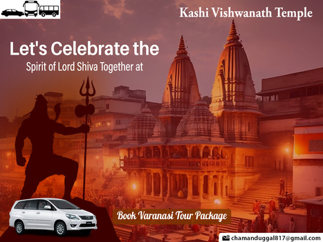 Let celebrate Lord Shiva at the Kashi Vishwanath Temple | Delhi Agra Tour Package | Scoop.it