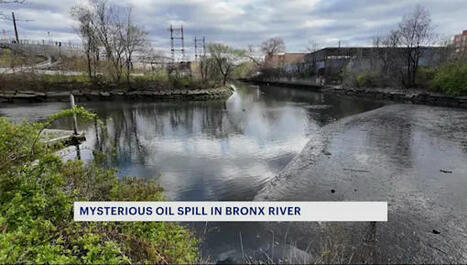 Oil spill in Bronx River remains a mystery / le 17.04.2025 | Pollution accidentelle des eaux (+ déchets plastiques) | Scoop.it