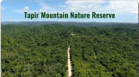 Tapir Mountain Nature Reserve Video | Cayo Scoop!  The Ecology of Cayo Culture | Scoop.it