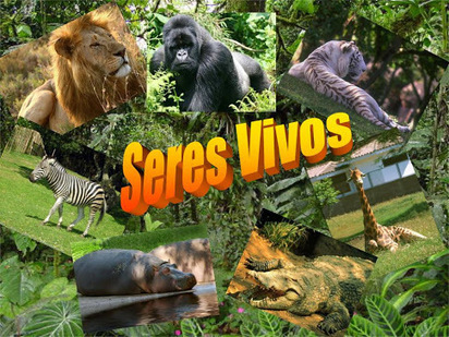 59 actividades acerca de los seres vivos | Yo Profesor | Educaci&oacute;n Siglo XXI, Econom&iacute;a 4.0 | Scoop.it