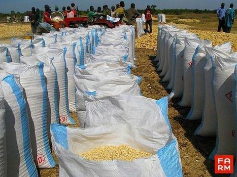 En Afrique, toujours plus de bouches à nourrir | Questions de développement ... | Scoop.it