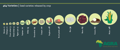 AGRA Seed Report at Grow Africa Investment Forum & World Economic Forum on Africa | Plant and Seed Biology | Scoop.it
