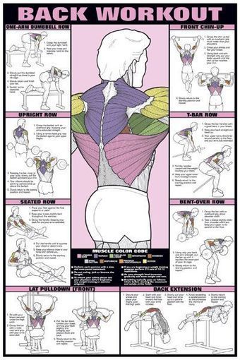 Bodybuilding &  Fitness | Bodybuilding & Fitness | Scoop.it