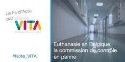 Euthanasie en Belgique : la commission de contrôle en panne | Dépendance et fin de vie | Scoop.it