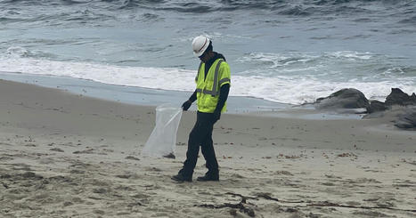 Coast Guard cleans La Jolla beach of tar balls from oil spill - LATimes.com | Operation Deimos | Scoop.it