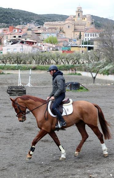 Albert Hermoso, el encantador de caballos | Caballo, Caballos | Scoop.it