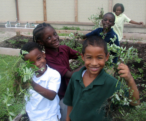 Urban Youth Impact's West Palm Beach Impact Garden wins national award - Palm Beach Post (blog) | Gardening Life | Scoop.it