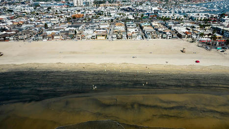 Southern California waters open for surfers, not fishermen, following oil spill - FoxNews.com | Operation Deimos | Scoop.it