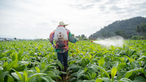 US: Waste streams contain $5.7 billion in untapped fertilizer | AM&Eacute;RIQUES | Scoop.it