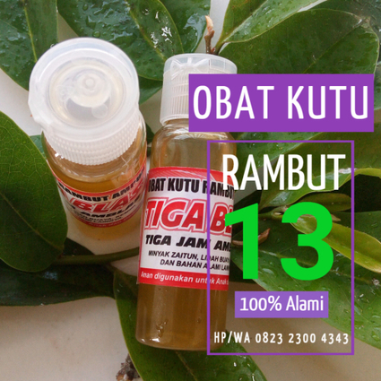 Obat Kutu Rambut Manjur Obat Kutu Rambut S