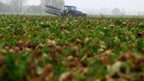 Dunkerquois : soutenir l’agriculture locale face au renouveau industriel | revue de presse | Scoop.it