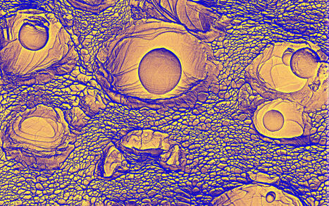 Mise à jour : Sortir de Google Scholar, Scopus ou Web of Science : que valent Lens, Dimensions, OpenAlex et Matilda pour la recherche bibliographique ?  | InfoDoc - Information Scientifique Technique | Scoop.it