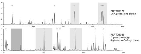 PNAS: Identification of innate immunity elicitors using molecular signatures of natural selection | Plants and Microbes | Scoop.it