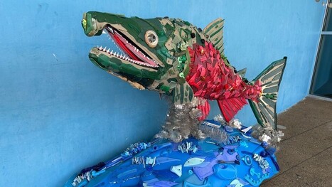 Tennessee trash: Aquarium warns of waterway pollution ahead of July 4th holiday | Industry 411 - Waste Management | Scoop.it