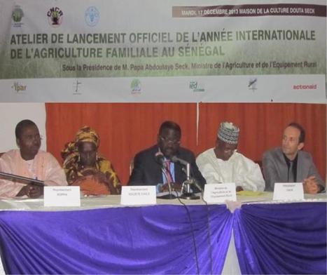 Sénégal : le CNCR lance l'Année internationale de l'agriculture familiale | Questions de développement ... | Scoop.it
